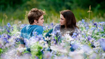 Edward and Bella - fairy dust, bella, twilight, flowers, firefox persona, edward