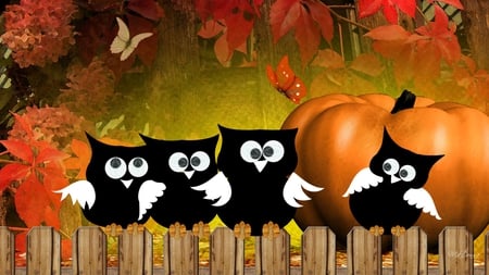 Hootie Autumn Owls - owls, whimsical, pumpkin, firefox persona, leaves, fall, autumn, butterfly, halloween, butterflie