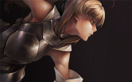 Saber Lily - anime, girl, knight, armor, saber lily, fantasy, fantasy warrior, fate stay night, anime warrior