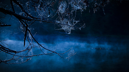 Blue Hallows Eve - misty, web, deep, spooky, blue, beautiful, dark, mysterious