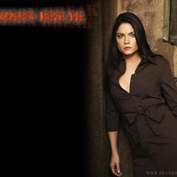 Prison Break - Jodie Lyn O'Keefe (Gretchen Morgan)