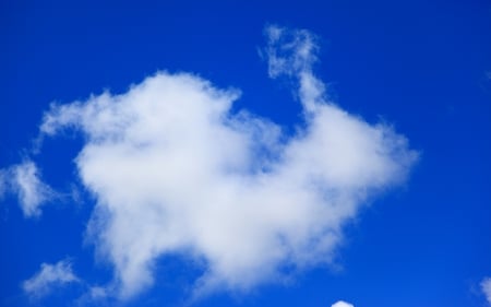 Bunny Rabbit Cloud - shapes, sky, photography, animals, bunny, nature, rabbit, abstract, clouds, 3d, cute