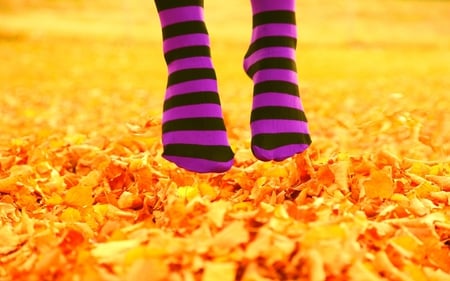 October ♥ Love - carefree, yellow, striped, leaves, purple, socks, seasons, golden, abstract, photography, fall, nature, autumn, seasonal, cute, 3d, october