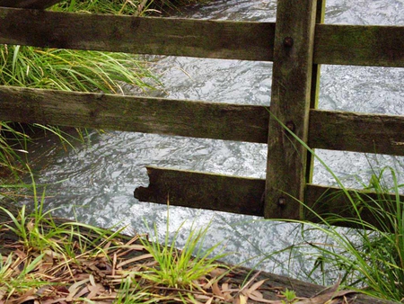 Flash Flood - waters, bridge, gate, rain