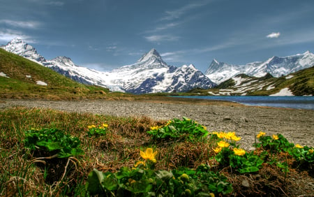 Landscape-HDR - pretty, scenery, amazing, landscape, snow, great, grass, mountain, flowers, view, hdr, lake, nice, sky, river bank, clouds, winter, water, beautiful, photography, beauty, colors, lovely, cool, flower, stones, river, nature, mountains, rocks