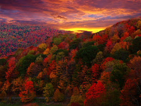 change of seasons - fall, colorful, trees, autumn, photography