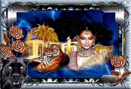 BIPASHA BASU - entertainment, nature, 2012, film