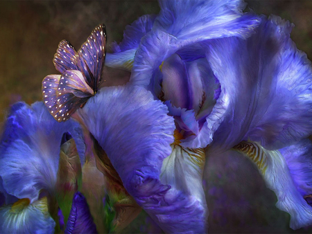 Blue flowers and bytterfly - nature, butterfly, flowers, blue