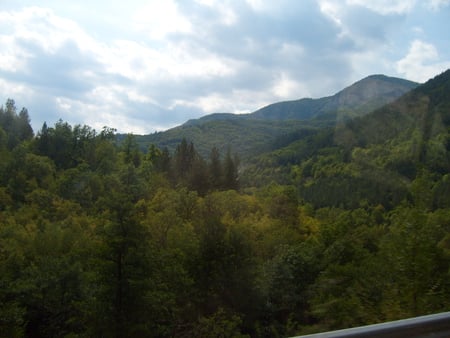 Rhodopy - summer, forest, photo, photoraphy, sky, sunny, clouds, trees, nature, mountain, bulgaria, green