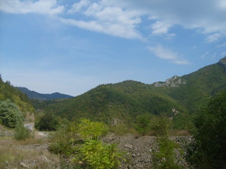 Rhodopy - summer, forest, photo, blue, sky, photography, trees, nature, mountain, bulgaria, green