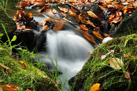 Waterfall - nature, waterfall, autumn, other