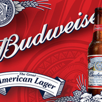 Budweiser beer