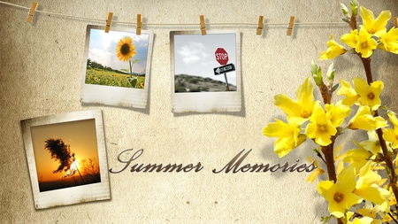 Summer Memories - sunset, summer, clothes line, spring, forsythia, photos, flowers, stop sign, firefox persona