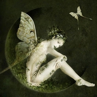 FAIRY WITH BUTTERFLY