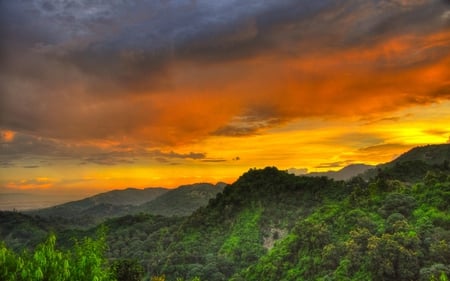 Epic Sunset - clouds, trees, hills, yellow, amazing, beautiful, forest, sunset, mounts, view, sun, sky