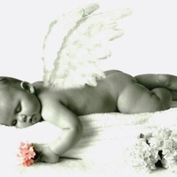 Angel Baby