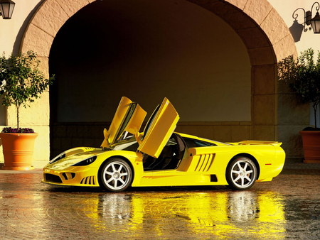 Saleen s7