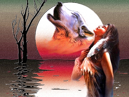 HOWL AT THE MOON - moon, indian, nature, 2012