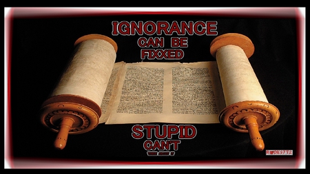 IGNORANCE CAN BE FIXXED - think, stupid, do something, ignorance