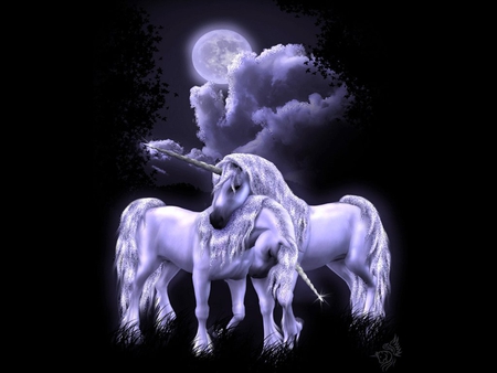 Unicorns - moon, black, animal, unicorn, horse