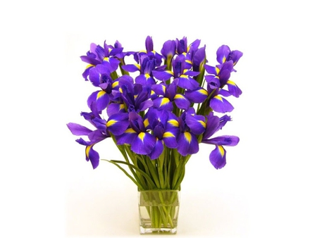 Purple bouquet - bouquet, purple, flower, vase