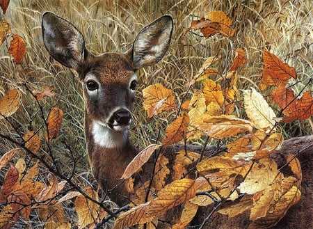 Carl Brenders. Autumn Lady Whitetail Deer In Hiding - wide screen, wildlife, autumn, leaf, deer, nature, painting, art, carl brenders, fall, pretty, artwork, beautiful, leaves, animal, colors