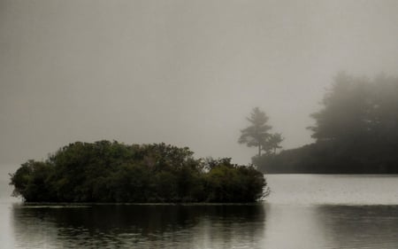 Misty Morning - morning, lake, peaceful, foggy, soothing, nature, calm, gray, misty, haze