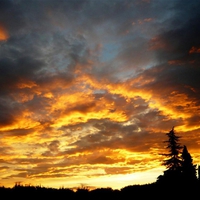 Fire in the Sky