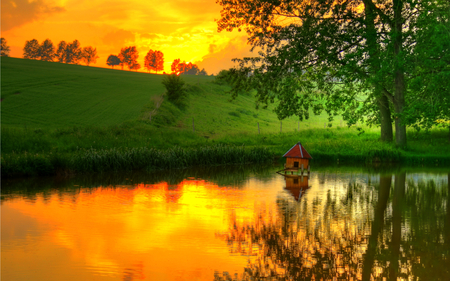 Reflection - pretty, yellow, autumn colors, splendor, landscape, grass, sunrise, reflection, path, view, yellow sky, field, lake, sky, way, clouds, trees, water, beautiful, beauty, colors, lovely, tree, fall, colorful, nature, sunset, green, autumn, peaceful