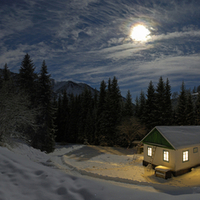 Winter Night