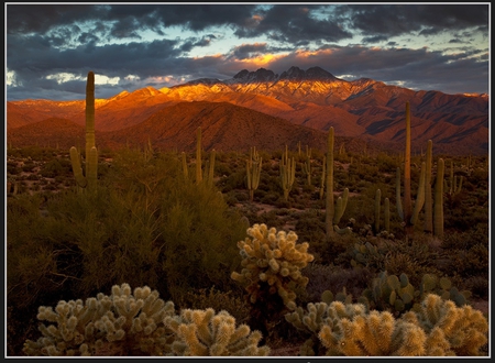 Desert - nature, mountains, desert, other