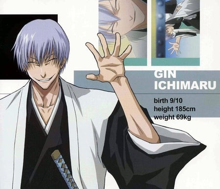 Gin Ichimaru - bleach, height, birth, weight, gin, wave, always smiling