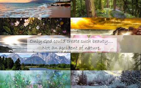 Only God Could - flowers, nature, beaches, god, forest