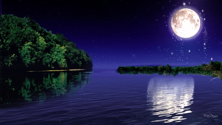 Moonlight Reflection - trees, water, island, night, reflection, stars, lake, full moon, sky