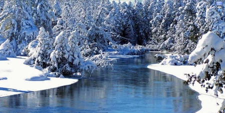 Quiet Winter Stream - cold, river, snow, water, winter, stream