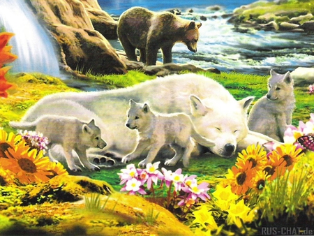 Grizzly bear and white wolves - wildlife, flower, animal, grizzly, abstract, wolf, brown, bear, waterfalls, nature