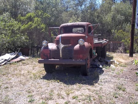 Old Dodge flatbed - found, flatbed, dodge, truck