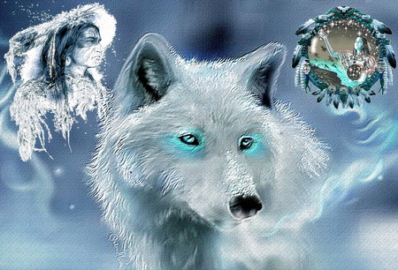 BLUE DREAM - winter, nature, 2012, wolf