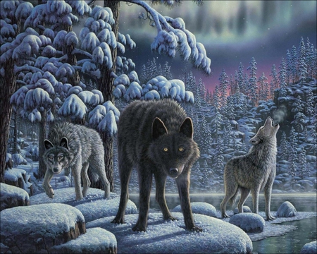 Winter wolf - animal, winter, wolf, tree, wildlife