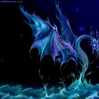 MIDNIGHT SEA DRAGON