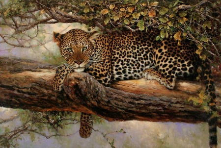 Leopard on tree - wildlife, art, leopard, animal, drawing