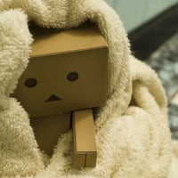 Danbo in Towel