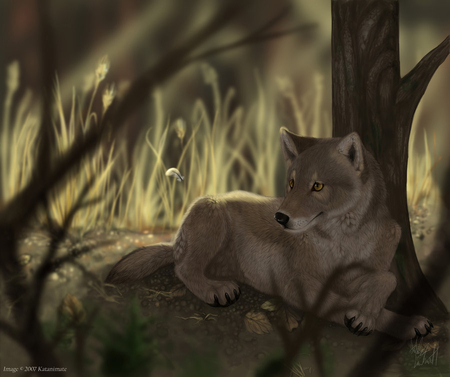 Wolf resting - animal, wolf, painting, wild, wildlife