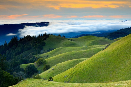 Rolling Hills - sky, trees, hills, rolling, clouds, green