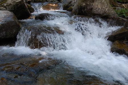 spring waterfall - spring, forest, water, waterfall