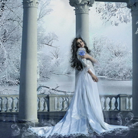 Frozen princess