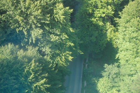 road - street, trees, cable, mountain