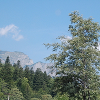 mountain in romania