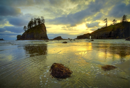 Golden sunset - trees, sunset, nature, sea, golden, ocean, mountain, rocks