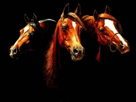 HORSES